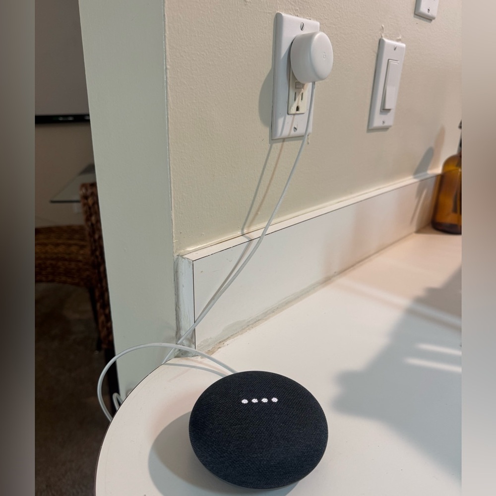 Google Home Mini Speaker